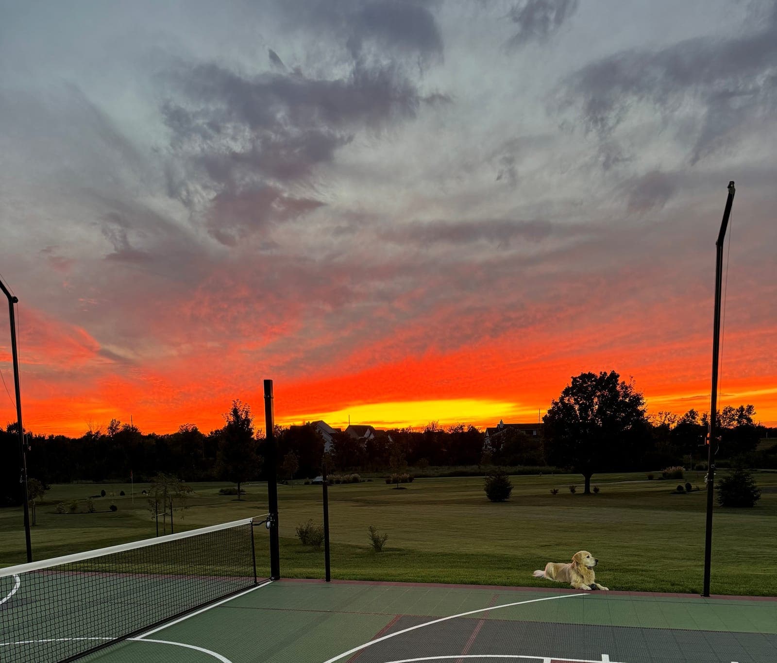 Mature trees framing an estate homesite at Sunset Farm
